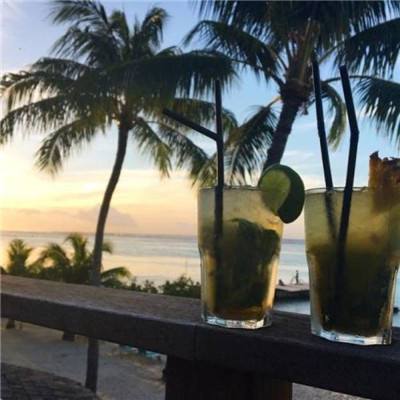 im电竞官方网站